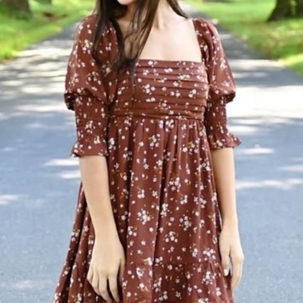 NWT Blue Rain Francesca's Brown Floral Dress